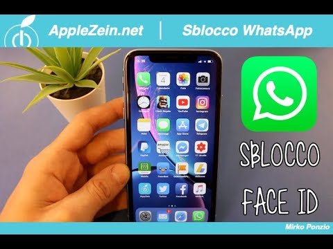 Elimina Face ID su WhatsApp: ecco come proteggere la tua privacy