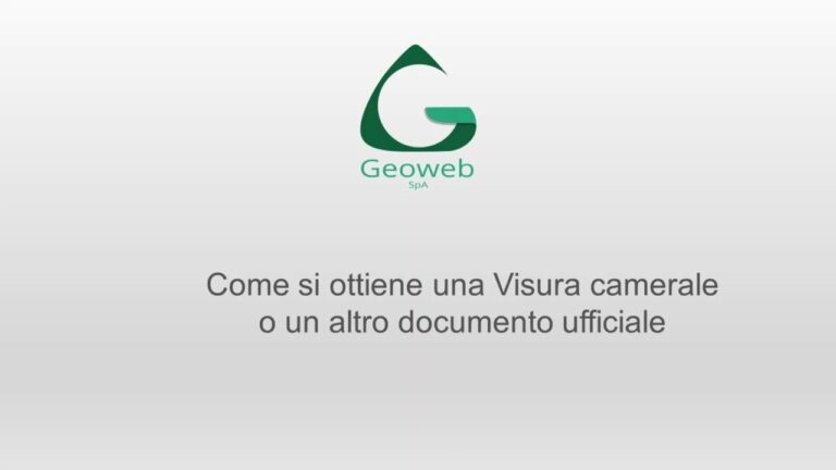 Visura Young: Scopri come i giovani possono ottenere informazioni essenziali in modo rapido e conveniente